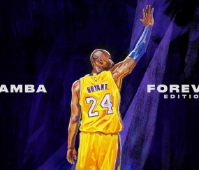 开云下载-从拉沃尔杯到ATP总决赛，德约科维奇如何用关键制胜诠释网球的唯一性