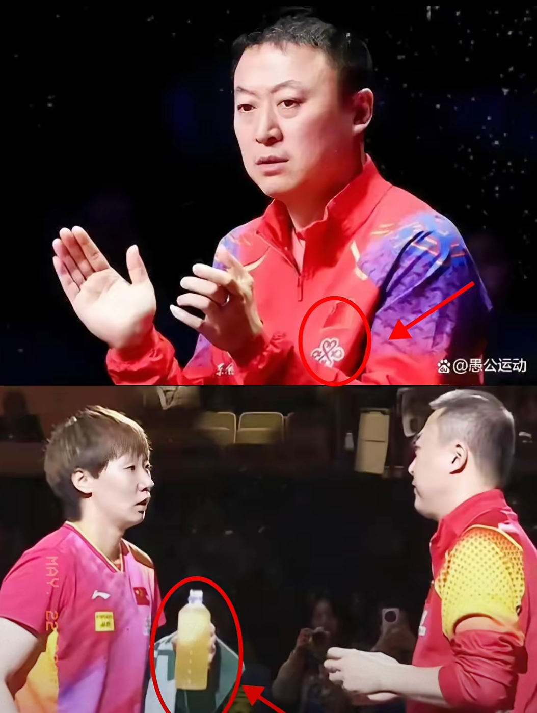 韩国队翻盘泰国队，马琳点燃赛场