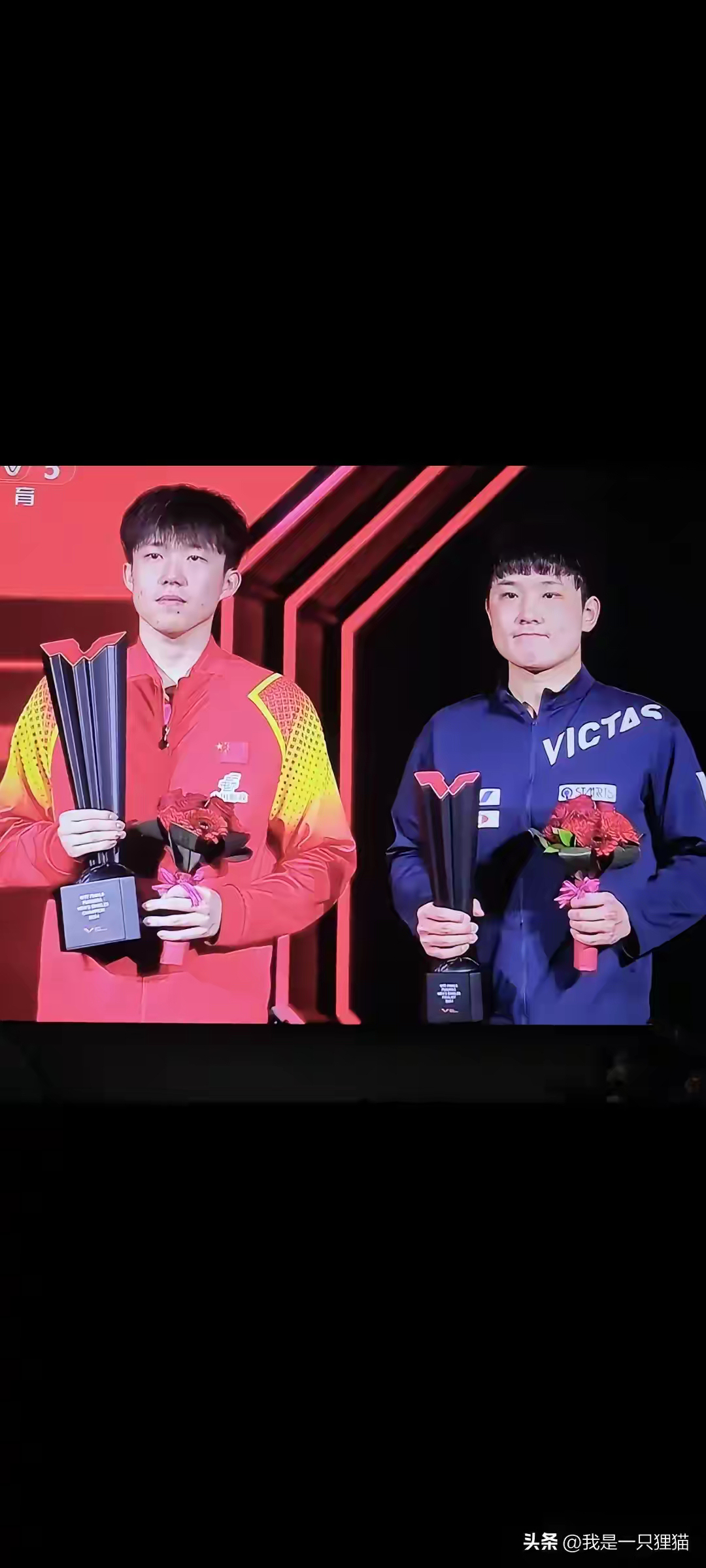 奥地利队横扫葡萄牙队,张本智和扛起全队 奥地利队横扫葡萄牙队,张本智和扛起全队