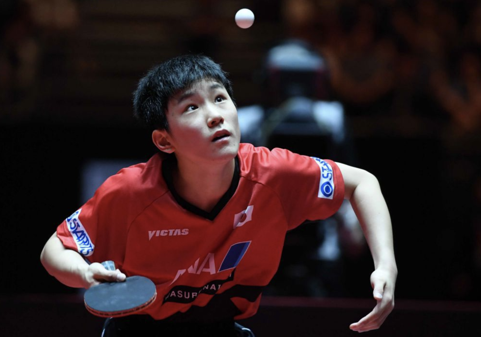 波兰乒乓球队爆冷英国乒乓球队,水谷隼高光表现 波兰乒乓球队爆冷英国乒乓球队,水谷隼高光表现