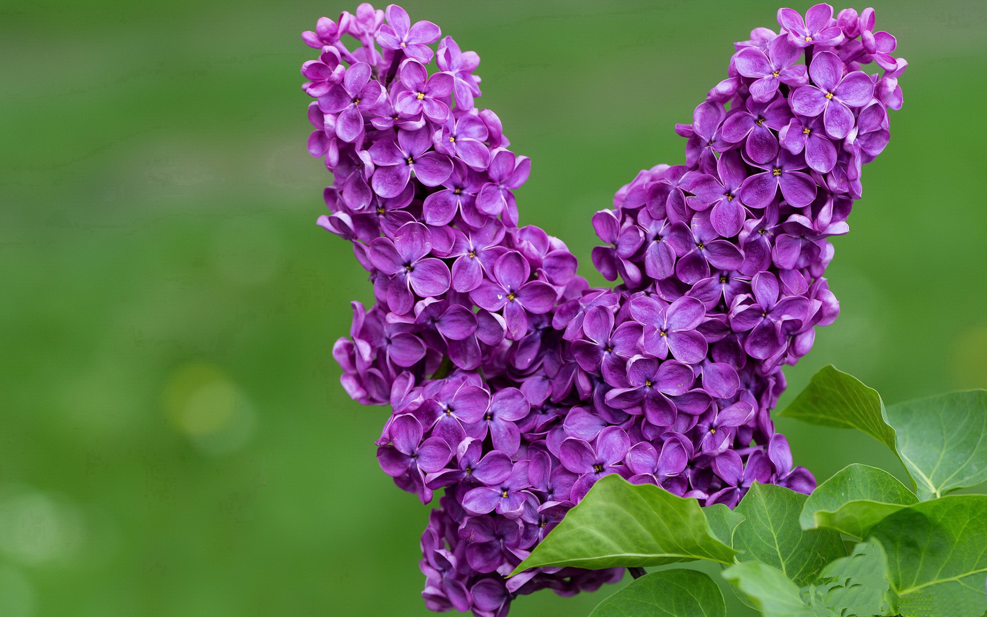 利物浦巅峰对决引爆世界排名争夺战，桑巴军团巴西憾负出局