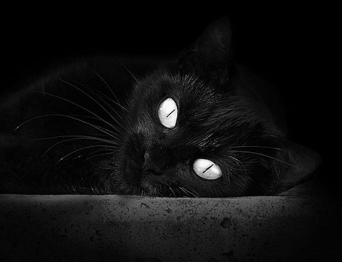 绝境重生,底特律活塞如何上演东决史上最不可思议的翻盘