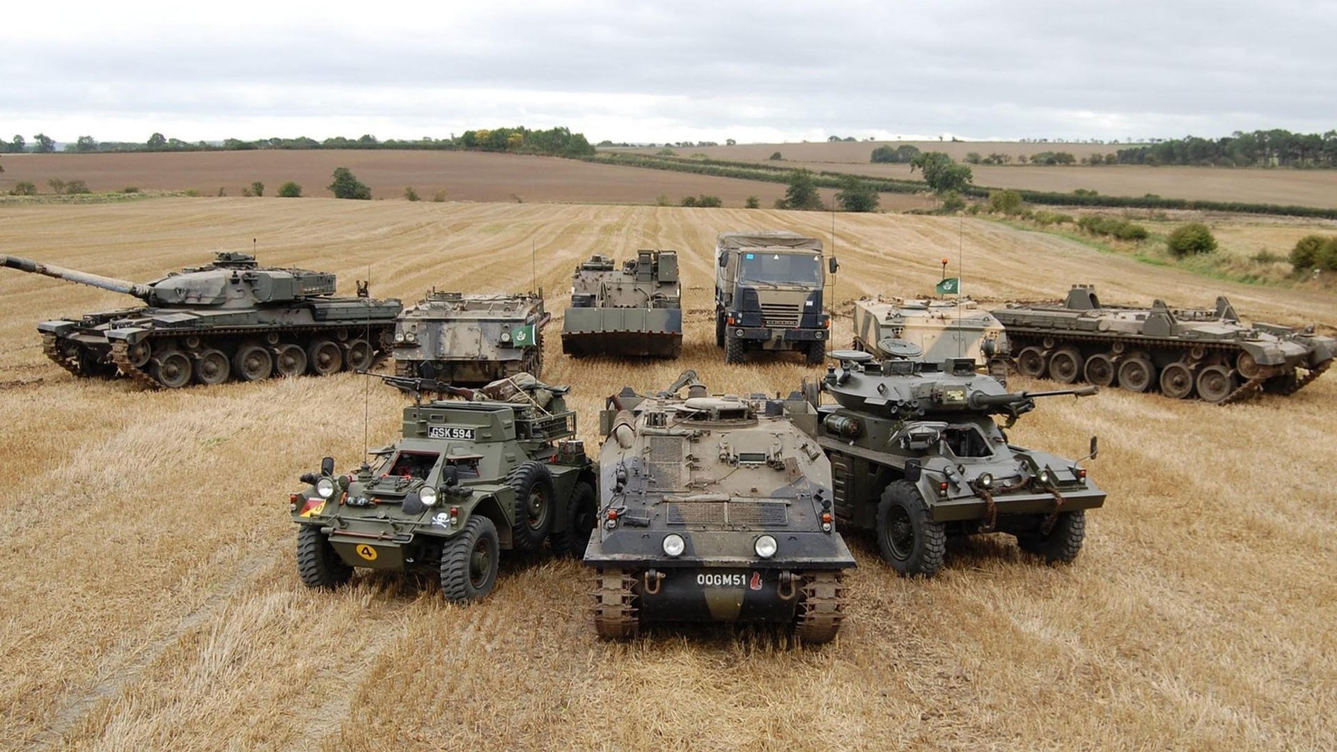 霍勒迪爆发引领深圳队强势拿下灰熊,诠释团队篮球新高度